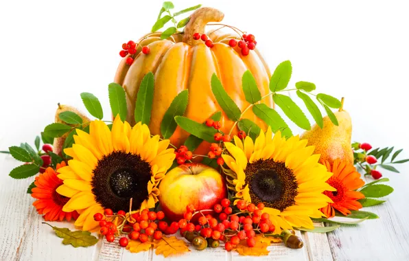 Picture autumn, leaves, sunflowers, berries, apples, harvest, pumpkin, fruit, pear, autumn, pumpkin, sunflower, harvest