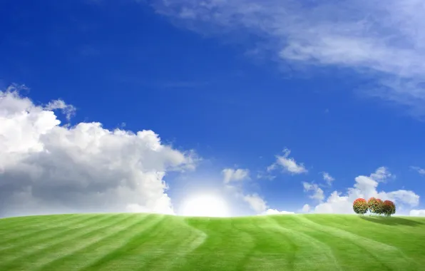 Picture field, the sky, grass, trees, hills, landscapes, field