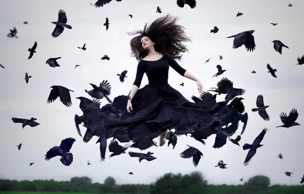 Picture girl, birds, dress, flight, in black