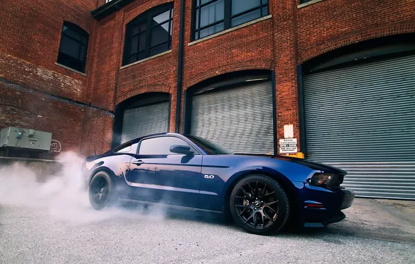 Picture blue, Mustang, Ford, Mustang, muscle car, Ford, blue, muscle car, 5.0