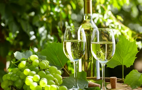 Picture greens, leaves, wine, bottle, garden, glasses, grapes, tube, barrel, bokeh