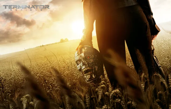 Picture field, grass, fiction, skull, hand, terminator, ears, poster, Terminator: Genisys, Terminator: Genesis