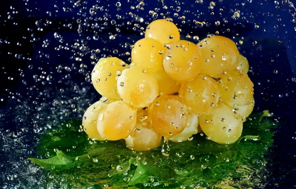 Picture water, drops, sheet, berry, grapes, bunch