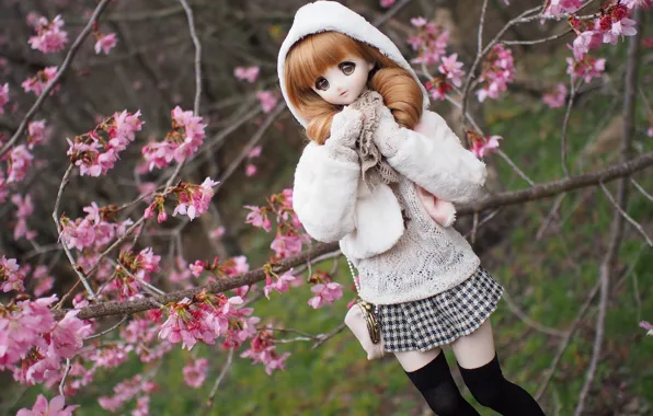 Picture branches, cherry, toy, doll, Sakura, flowering