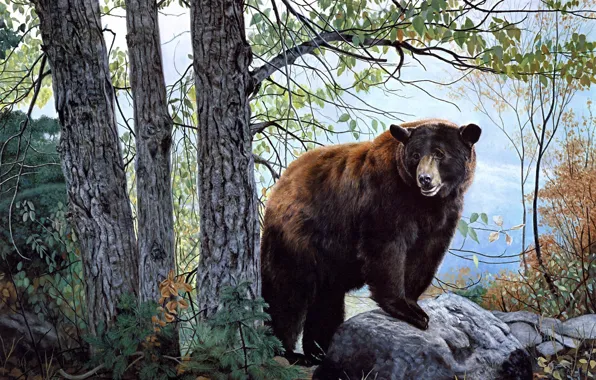 Picture forest, brown bear, bear, nature, painting, Charles Frace, Morning Watch