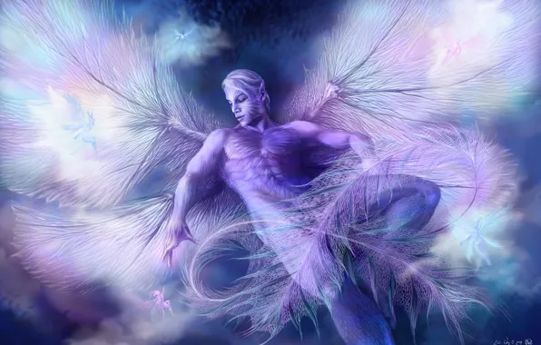 Picture wings, fantasy, art, guy, fairies