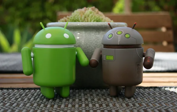 Picture Android, android, google