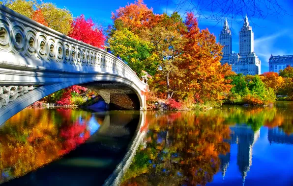 Picture autumn, the sky, leaves, trees, landscape, bridge, New York, USA, Central Park