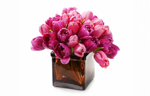 Picture flowers, bouquet, tulips, vase, fresh, flowers, tulips, purple, bouquet