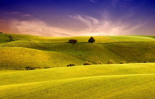 Picture field, the sky, grass, landscape, nature, hills, field