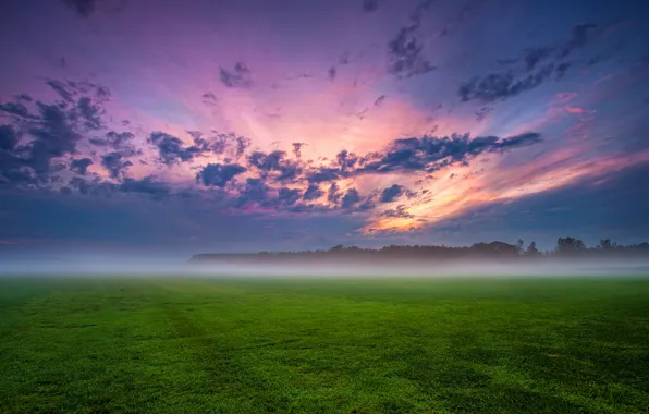Picture field, the sky, grass, clouds, trees, sunset, clouds, fog, the evening, Germany, haze, blue