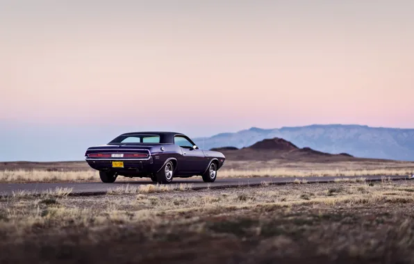 Picture road, mountains, wheel, back, Dodge, Challenger, twilight, tail lights