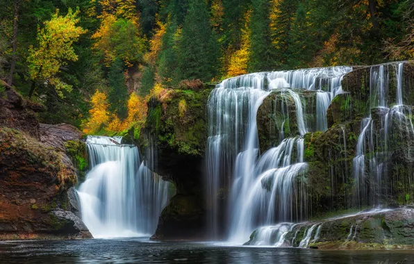 Picture autumn, forest, waterfall, cascade, Washington, Washington, Lower Lewis River Falls, river Lewis, Lewis River