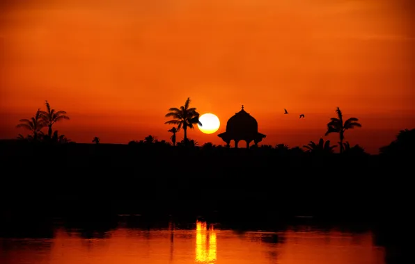 Picture sunset, river, palm trees, silhouette, Egypt, the Nile River towards Assuan