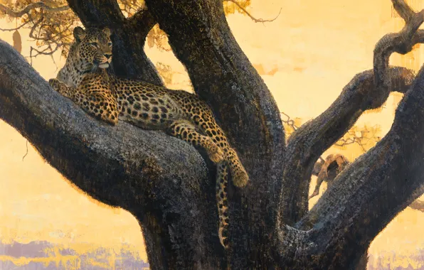Picture cat, tree, stay, predator, picture, branch, art, spot, leopard, wild, Bob Kuhn