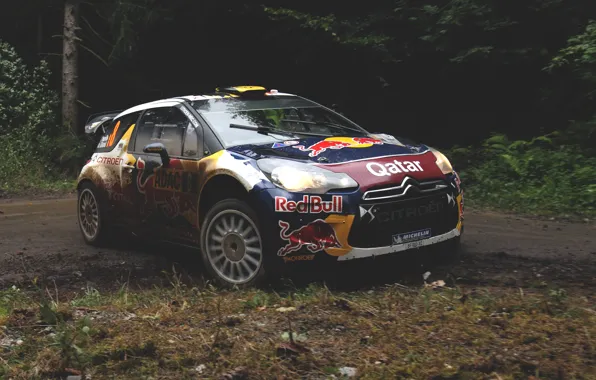 Picture forest, race, red, rally, rally, wrc, citroen, race, Citroen, bull, ds3