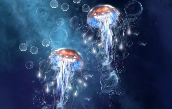 Picture sea, bubbles, bubbles, art, jellyfish, under water