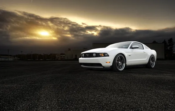 Picture white, the sun, sunset, Mustang, Ford, Mustang, white, muscle car, Ford, muscle car, 5.0, front