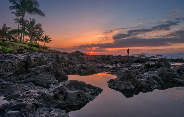 Picture sunset, palm trees, the ocean, coast, Hawaii, Hawaii, Maui, Maui, Napili Beach, Andalso E Bay