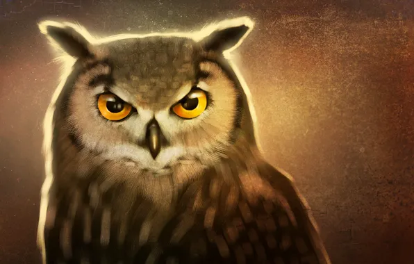 Picture eyes, look, beak, art, owl bird