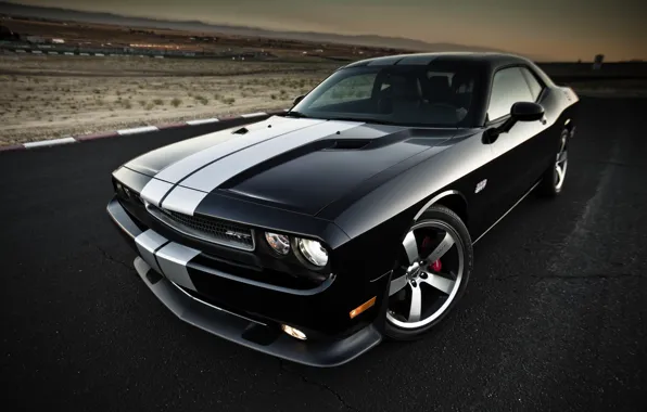 Picture Strip, Wheel, Machine, Dodge, The hood, Dodge, Challenger, Lights, Car, The front