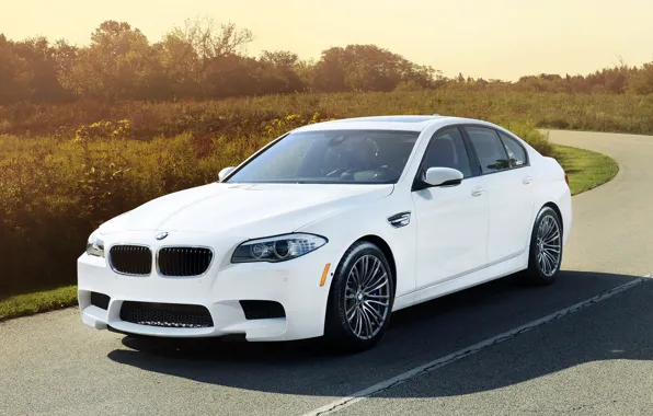 Picture road, white, background, tuning, BMW, BMW, sedan, the bushes, tuning, the front, IND