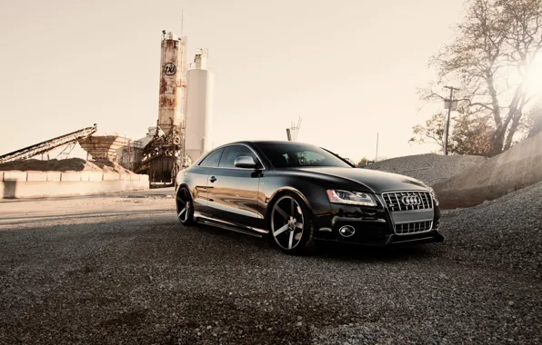 Picture Audi, The sun, Auto, Tuning, Machine, Tuning, Plant, Crushed stone