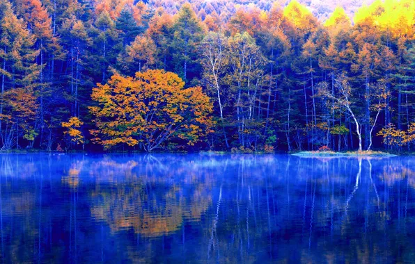 Wallpaper autumn, forest, trees, lake, reflection images for desktop ...