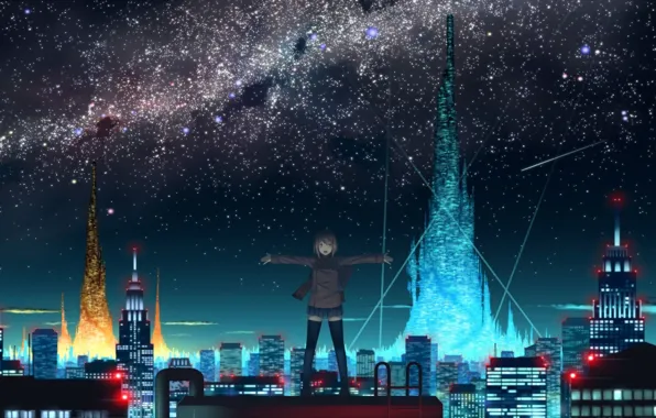 Picture roof, the sky, night, the city, lights, anime, girl