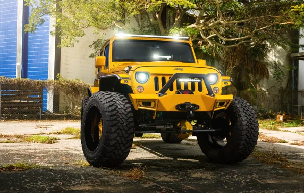 Picture Front, Forged, Yellow, Custom, Wrangler, Jeep, Wheels, Track, HydraSports, Amani