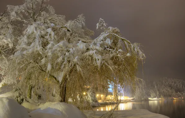 Picture winter, snow, trees, night, lights, fog, lake, lights, the snow, Slovenia, Bled
