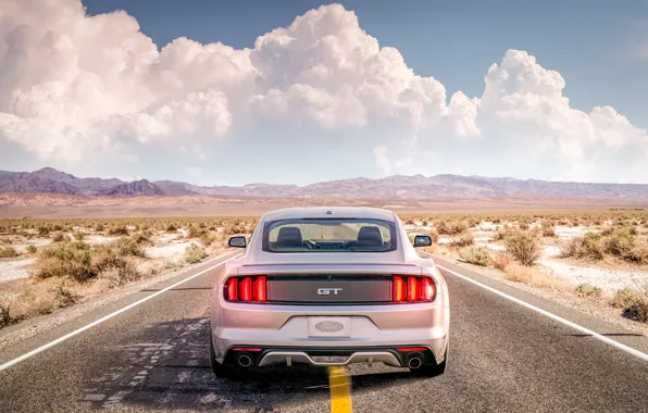 Picture road, desert, mustang, ford