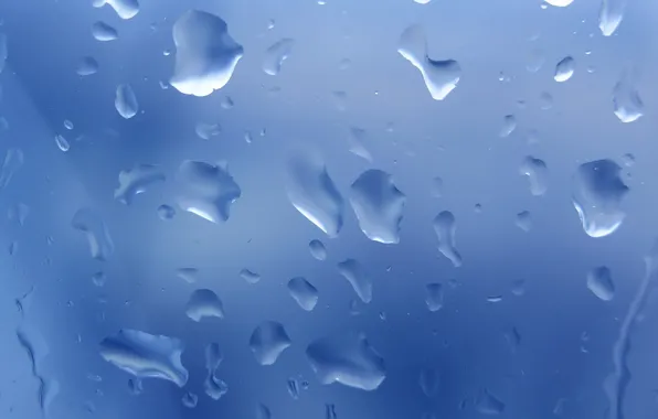 Picture drops, wet, blue garbage