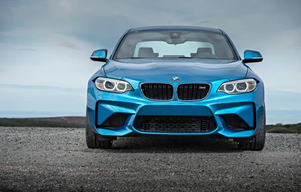 Picture face, BMW, coupe, BMW, blue, Coupe, F87