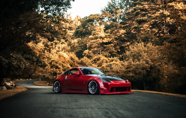 Picture road, autumn, red, red, Nissan, Nissan, 350Z, stance, kit