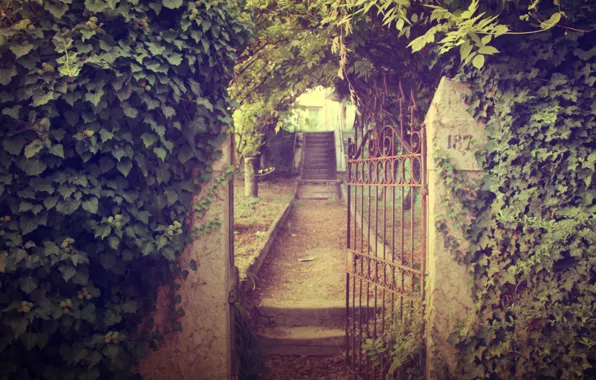 Picture road, leaves, nature, wall, plants, gate, garden, stage, path, wicket, ivy