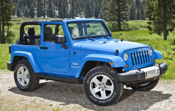 Picture forest, blue, Jeep, Sahara, the front, Wrangler, Ringler, Jeep, Anlimited, Unlimited, Sahara SUV