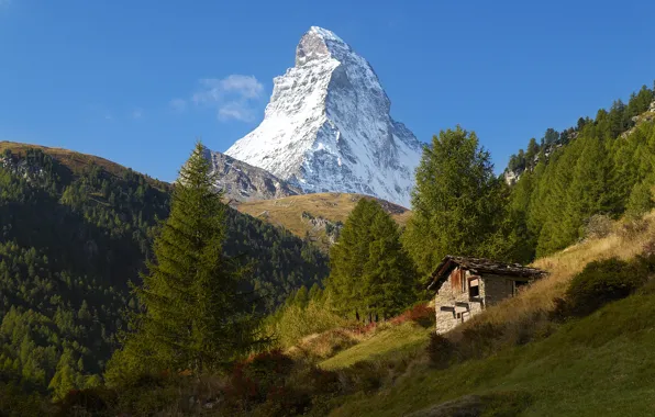 Picture the sky, trees, mountains, blue, Switzerland, slope, Alps, house, Sunny, peak, Matterhorn, Zermatt, Swiss Alps