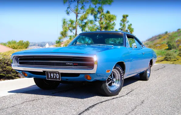 Picture Dodge, Charger, 1970, 500