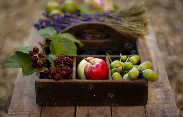 Picture autumn, berries, table, basket, apples, fruit, acorns, BlackBerry, lavender