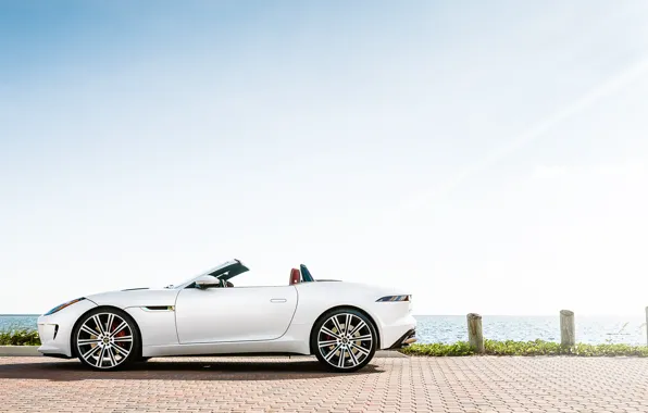 Picture Jaguar, white, F-Type, profile