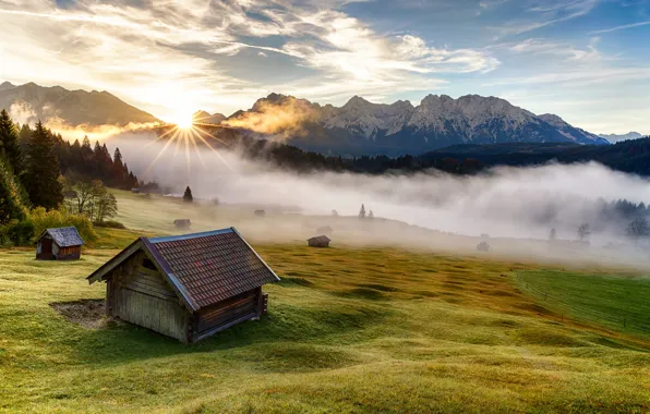 Picture grass, trees, mountains, nature, fog, house, morning, Germany, Bayern