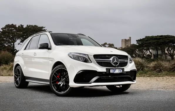 Picture Mercedes-Benz, Mercedes, AMG, AMG, 2015, GLE-Class, W166
