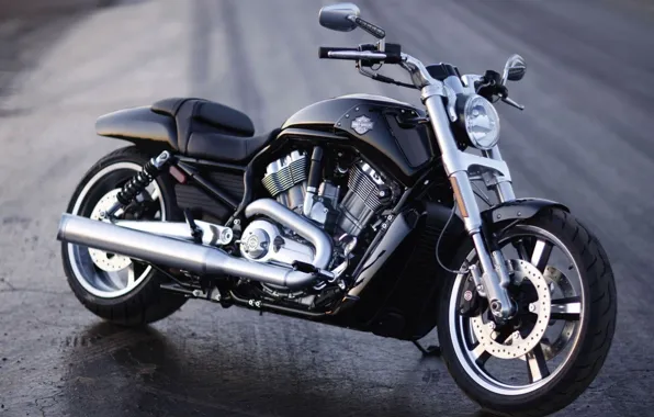 Picture Harley, Motorcycle, Harley-Davidson, V-rod