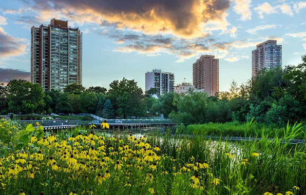 Picture the sky, grass, clouds, trees, landscape, sunset, flowers, the city, pond, Park, skyscrapers, the evening, …