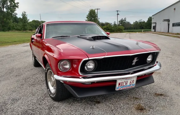 Picture mustang, 1969, red, ford, do
