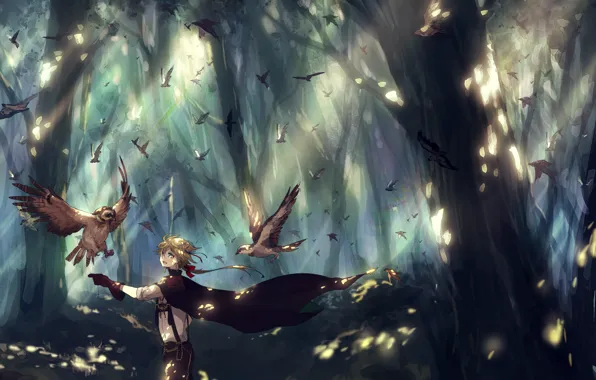 Picture forest, trees, birds, nature, anime, art, guy, canarinu kmes