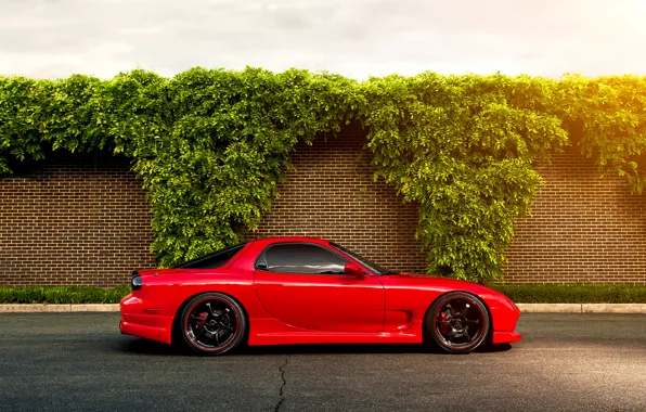 Picture red, Mazda, Blik, red, the bushes, Mazda, RX-7, brick wall