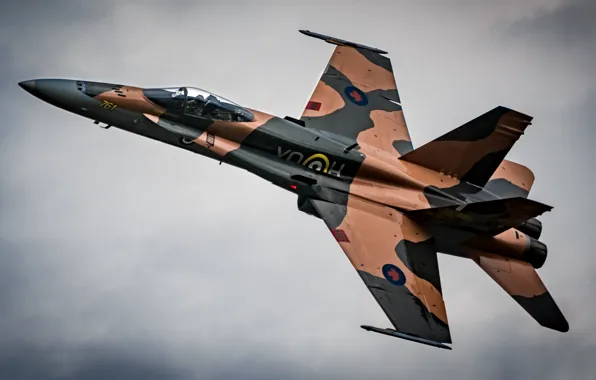 Picture fighter, multipurpose, Hornet, "Hornet", CF-18