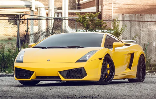 Picture yellow, Lamborghini, Gallardo, Lamborghini, yellow, front, Gallardo